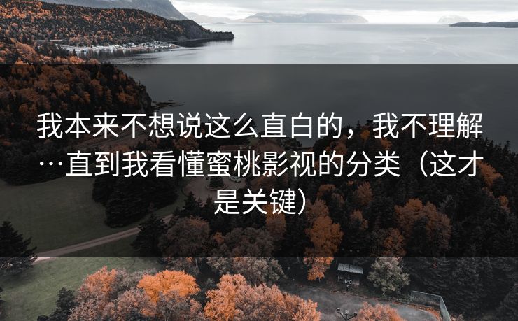 我本来不想说这么直白的，我不理解…直到我看懂蜜桃影视的分类（这才是关键）